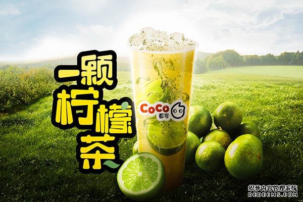 coco奶茶产品图2