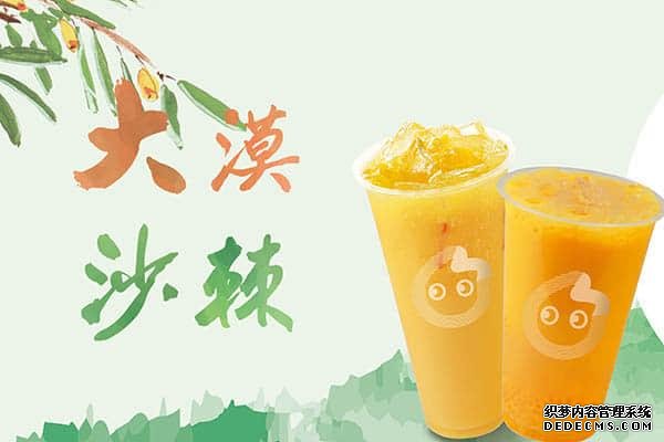 coco奶茶产品图2